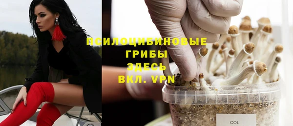 гидра Арсеньев