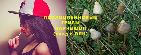 гидра Арсеньев