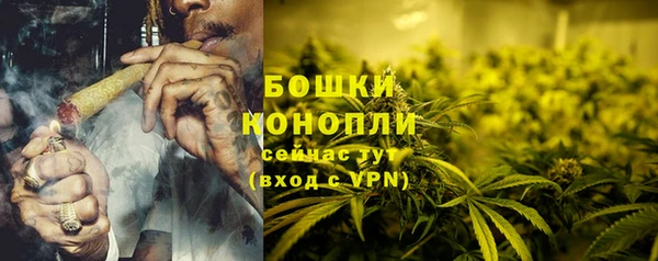 гидра Арсеньев