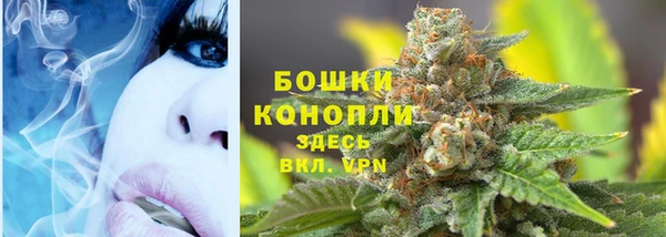 apvp Аркадак