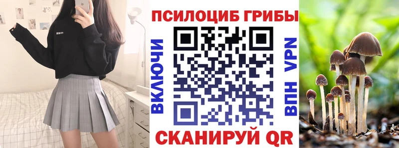 наркошоп  Новомичуринск  Галлюциногенные грибы MAGIC MUSHROOMS 